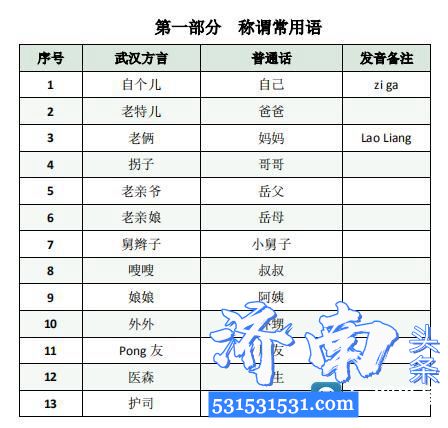 山东齐鲁医院进汉48小时编写了《国家援鄂医疗队武汉方言实用手册》