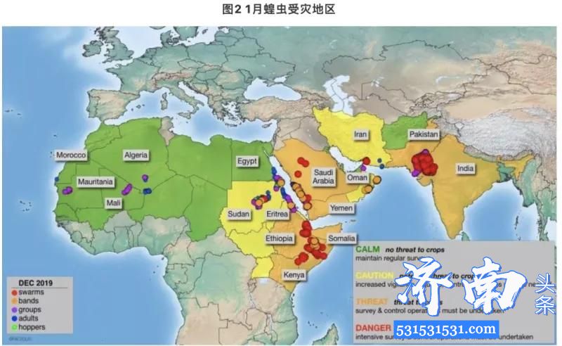 联合国粮农组织发布消息：25年最严重的千亿蝗灾蔓延非亚