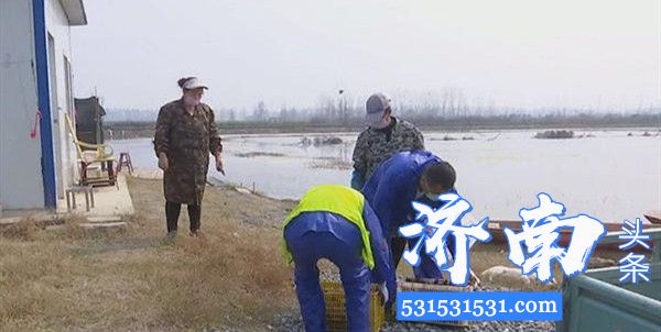 湖北省潜江市潜网小龙虾交易中心部分复工