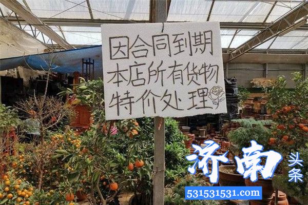 济南兴济园林花卉市场因“存在重大安全隐患”定于4月1日正式启动拆除
