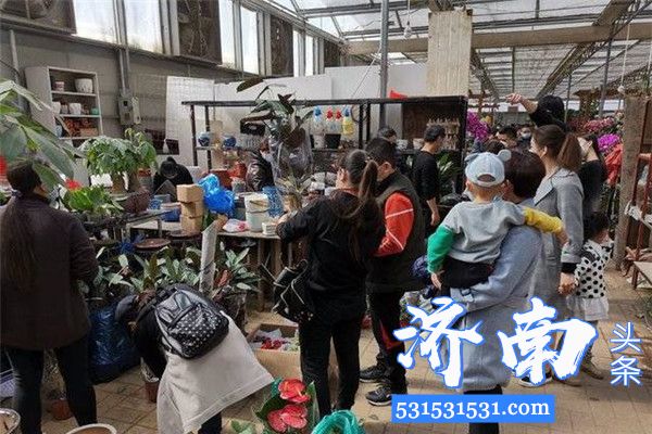 济南兴济园林花卉市场因“存在重大安全隐患”定于4月1日正式启动拆除