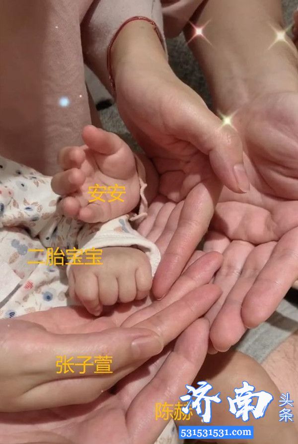 陈赫二胎得女晒一家四口大手包小手视频爱意满满