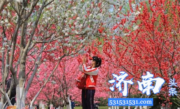 济南市园林和林业绿化局所属16家公园风景区清明期间共接待游客23.15万人次