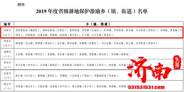 山东省自然资源厅正式公布了2019年度省级耕地保护激励乡（镇、街道）名单奖励100万元