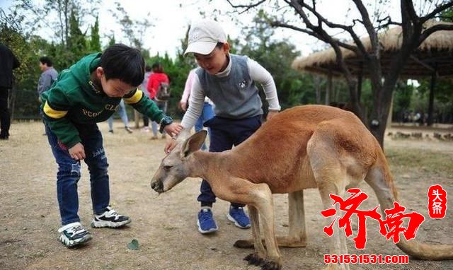 济南市野生动物世界国庆7天累计接待游客12万人次