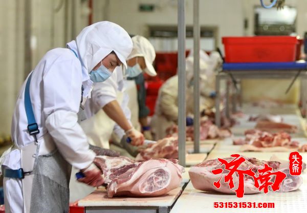 国内猪肉供应不断增加 猪肉价预计稳定下行至明年春节