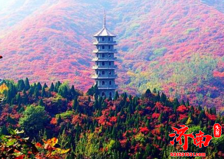 全国地级文化和旅游新媒体传播力指数TOP10榜单 济南又是第一名