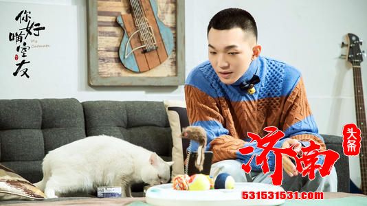 想知道单身男人都是怎样养猫的吗？《你好喵室友》会让你大开眼界