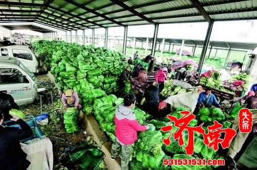 济南七里堡市场搬迁“疑云” 唐王蔬菜批发市场项目在征地 七里堡市场方称是“新项目”