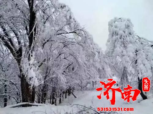 济南今冬第一场雪已抵达，坐标九如山！市区7成概率迎雨夹雪