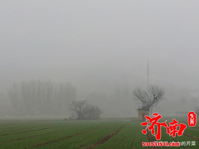 灰蒙蒙的天！笼罩在济南，雪飘过上空