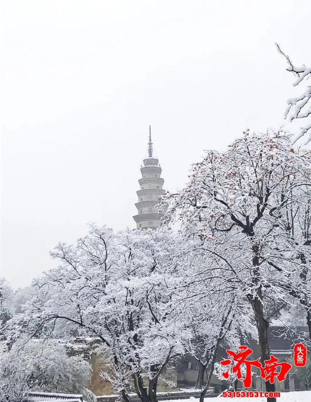 济南南部山区又下雪了！其实趵突泉雪景也很美！