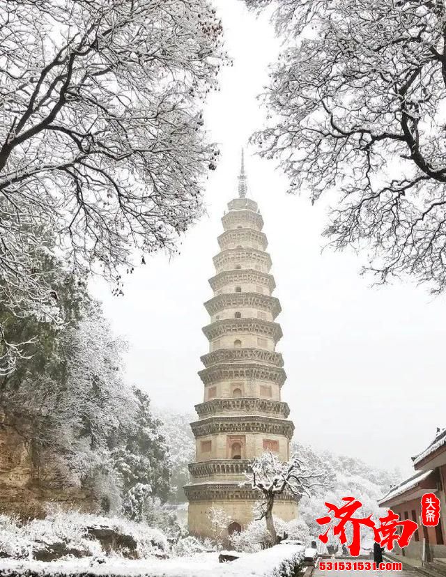 济南南部山区又下雪了！其实趵突泉雪景也很美！