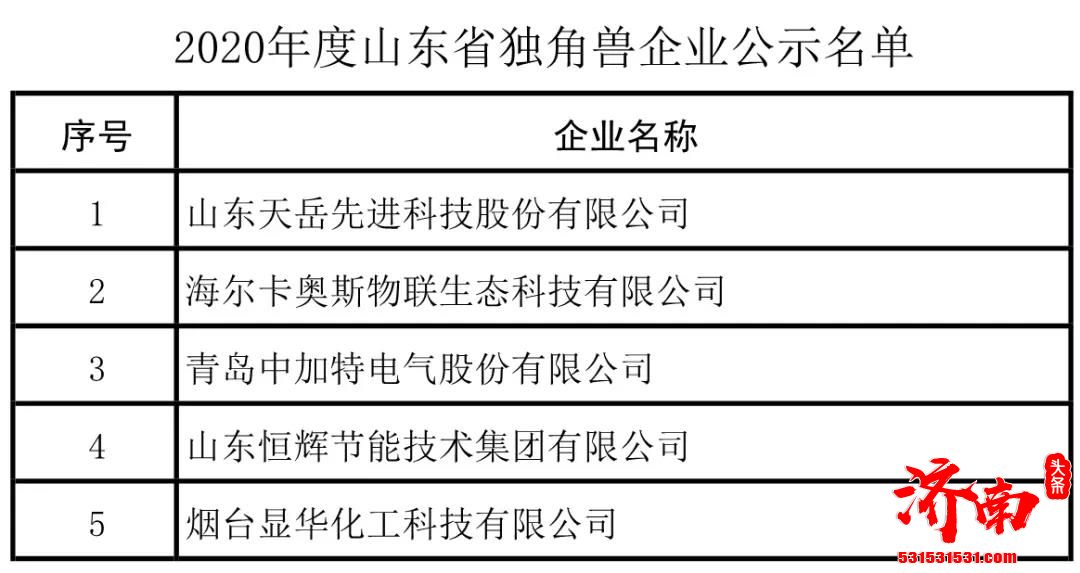 2020年度山东省瞪羚、独角兽企业名单公示