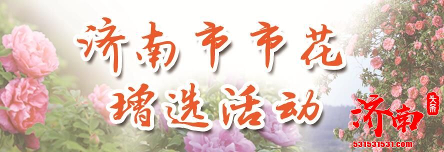 【济南市市花增选活动】济南市花增选活动再掀热度 专家学者上演“玫瑰之论”