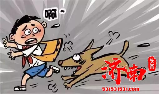 狂犬病致死率近100%！被狗咬咋办？济南医院外科主任相锋给出解释