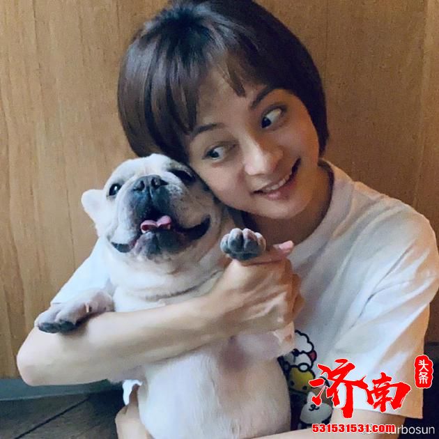 孙俪抱爱犬奶牛合照自称现任妈妈 邓超意外被cue