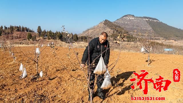 济南南山里有个最美“第一书记”