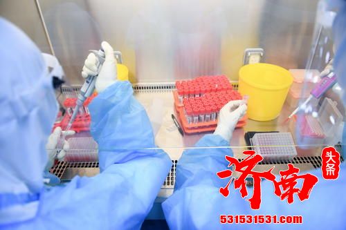 中国疾控中心：全国新冠肺炎血清流行病学调查和分析完成
