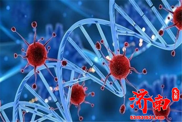 上海市疾控中心：发现1例病例的新冠病毒基因序列与近期英国报道的变异病毒基因相似