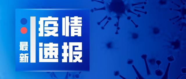 31个省区市报告新增确诊病例33例，其中境外输入病例16例，本土病例17例