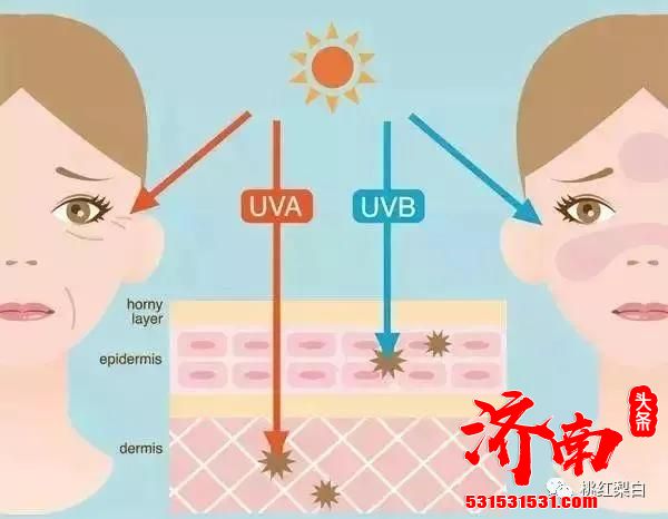 能“冻龄”20年的梁咏琪，到底有什么灵丹妙药？