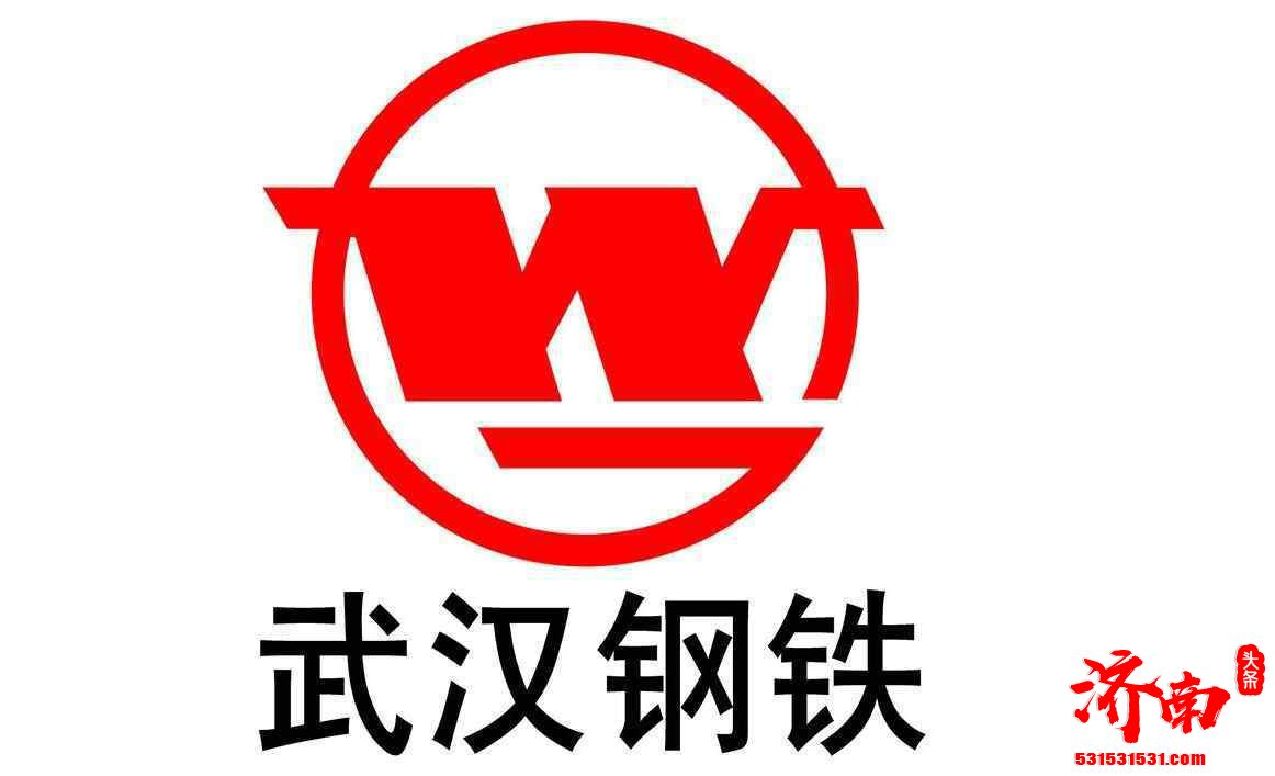 原武汉钢铁集团总经理助理因涉嫌违纪违法被调查