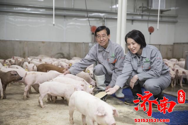 北京建成17家高级别生物安全生猪规模养殖场 设计存栏50万头