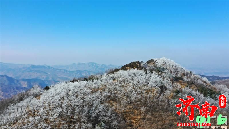 济南九如山度假风景区出现美丽雾凇景观 四天纳客两万余人