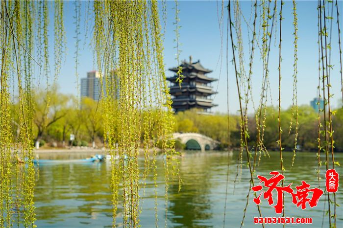 春天游览济南大明湖景区 名人雅士的聚集之地 自然景色秀美