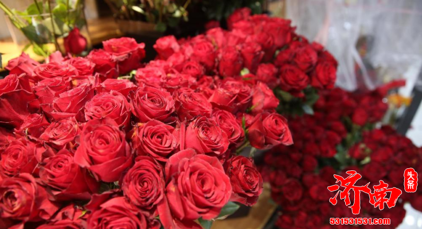 这个春节不少济南市民买来鲜花装饰家中 鲜花店的生意已经比平时翻了几番