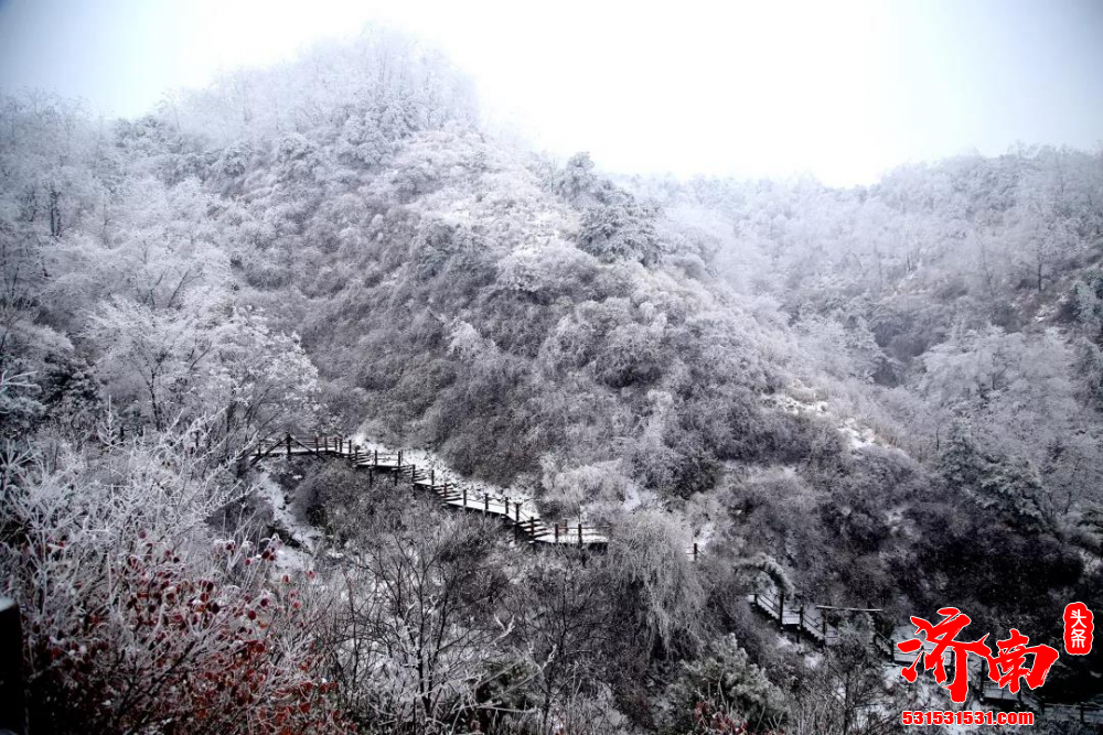 九如山山顶雾凇景观又现 济南这里的网红木屋成浪漫打卡点