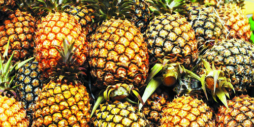 国台办回应 大陆暂停进口台湾菠萝 正常的生物安全防范举措