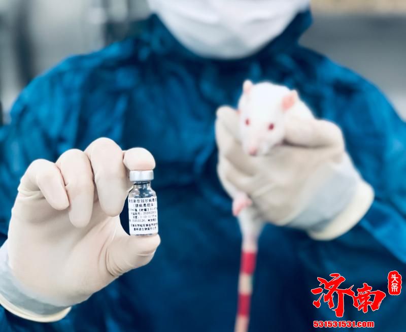 中国首款获批上市的腺病毒载体新冠疫苗横空出世 为什么中国首款只需打一针英俄却要两针