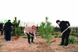 3.12植树节 | 济南市园林和林业绿化局邀您寄情于林，助力黄河生态风貌带建设