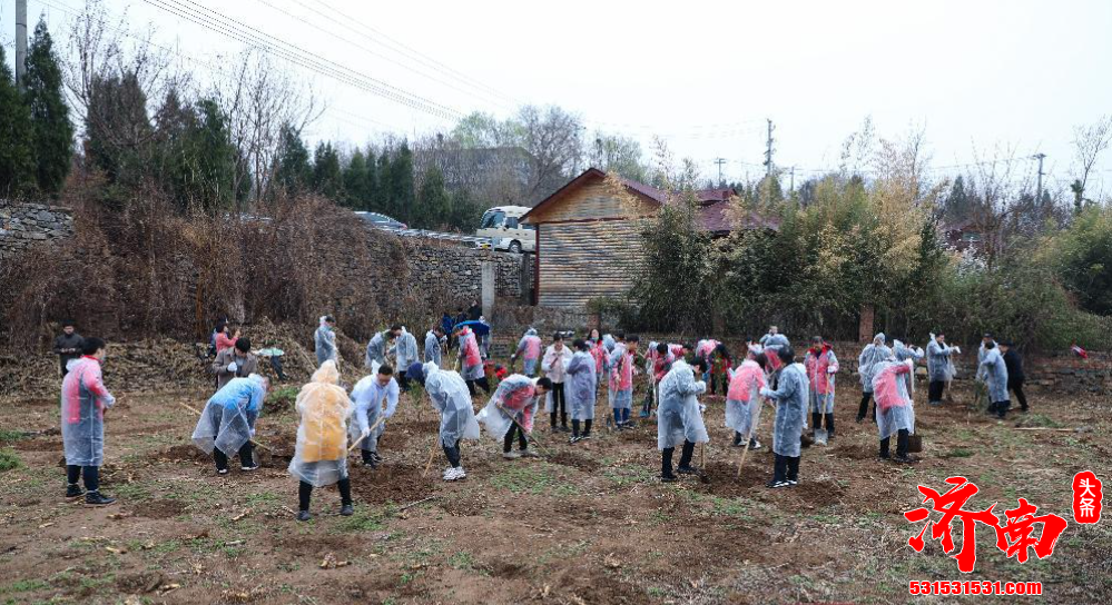济南市委办开展 共建绿色家园 助力生态济南 志愿植树活动