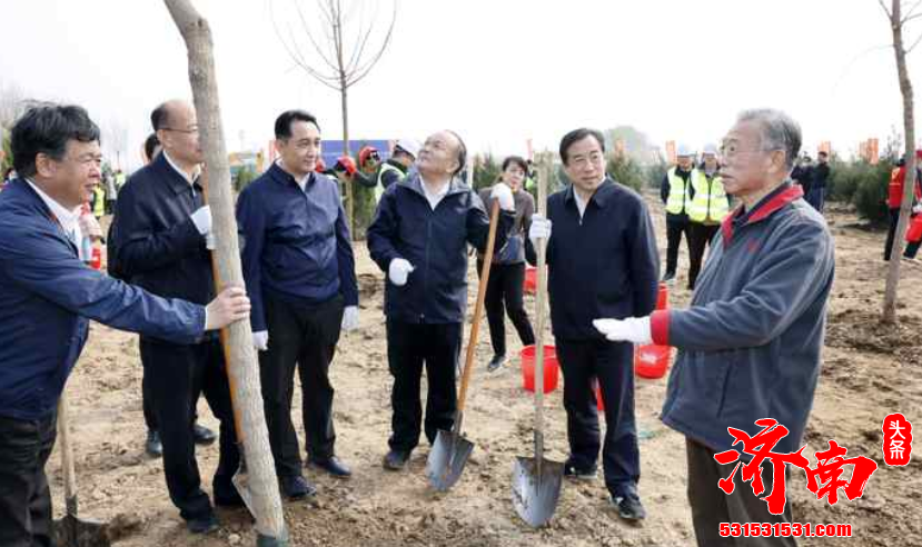 山东省长来到济南新旧动能转换先行区黄河於背区防护林和郊野公园建设现场