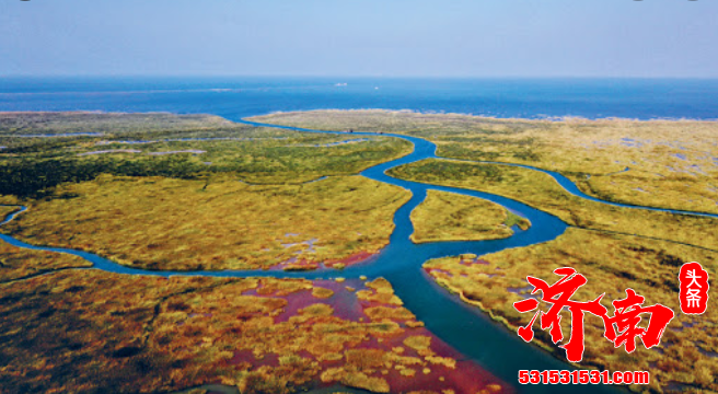济南在黄河流域中地理位置特殊 在生态安全格局中地位重要 在区域经济发展中责任重大