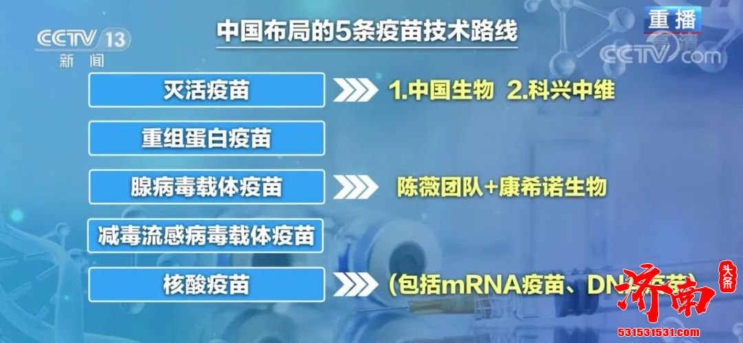 接种新冠病毒疫苗的选择上打哪个品种的疫苗更好？单针和双针如何选择？权威回应来了