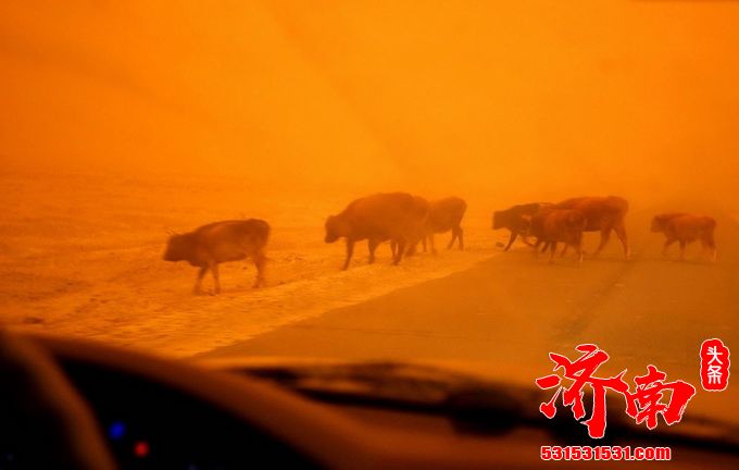 蒙古国中戈壁省近期强沙尘暴天气致16万头牲畜死亡 