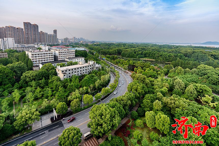 济南东城又添一处城市“绿肺”，走起，打卡去！雪山片区蒋山山体公