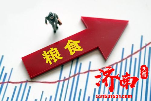 国际粮价上涨是否影响中国人“饭碗”？