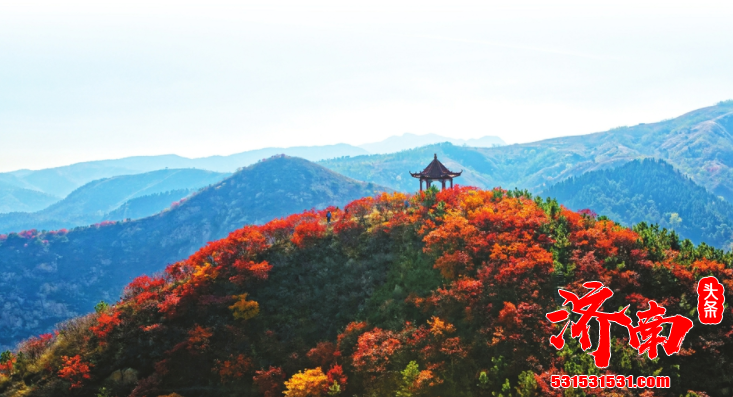 田家春来早，旅游赋能济南乡村振兴