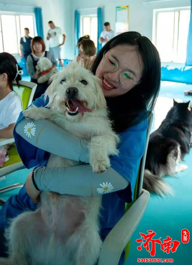 济南宠物培训学校-精灵派.好狗狗俱乐部在槐荫区成立了