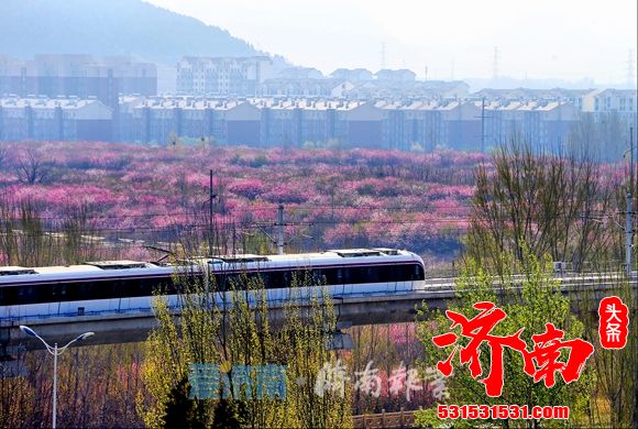 济南加快推进新旧动能转换起步区建设 高质量发展不断迈上新台阶