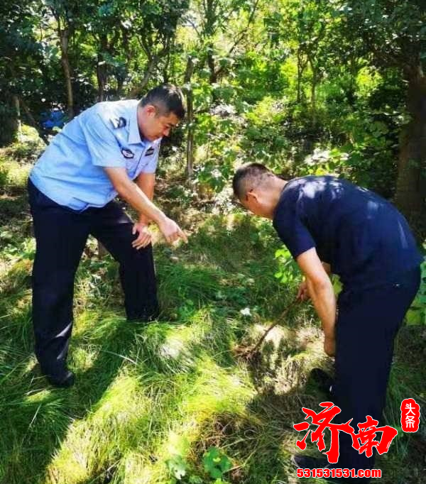 济南市公安局森林警察支队 成功破获全省首例危害国家重点保护植物案