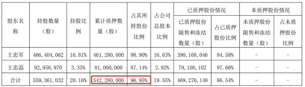 华谊兄弟实际控制人王忠军、王忠磊收到警示函，并记入证券期货市场诚信档案