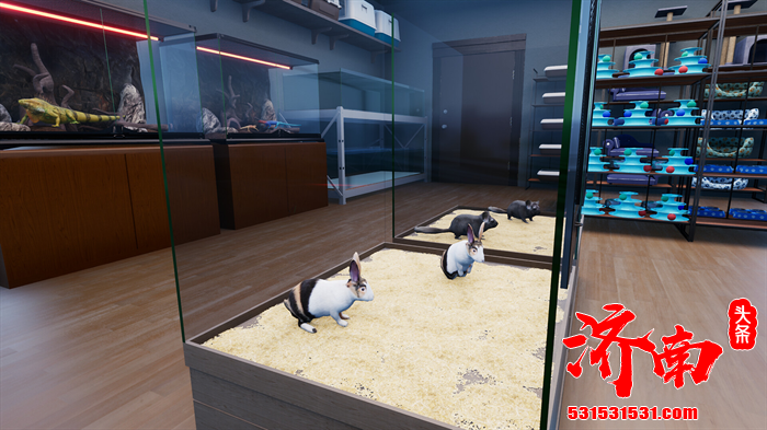 温馨治愈的模拟经营游戏《异域风情2: 宠物店模拟器》正式发售