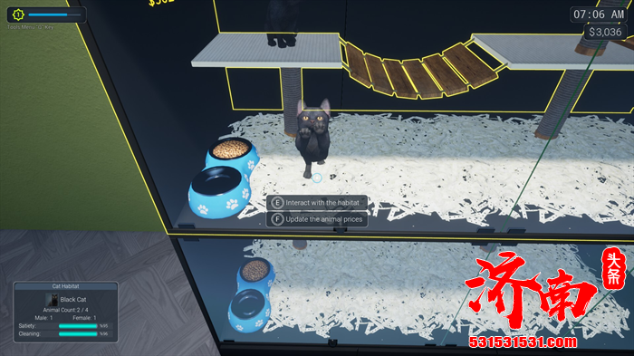 温馨治愈的模拟经营游戏《异域风情2: 宠物店模拟器》正式发售
