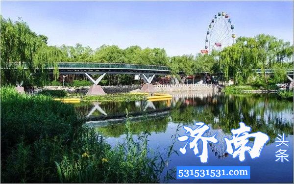 济南泉城公园里的摩天轮已拆除改建为牡丹展示区的一部分